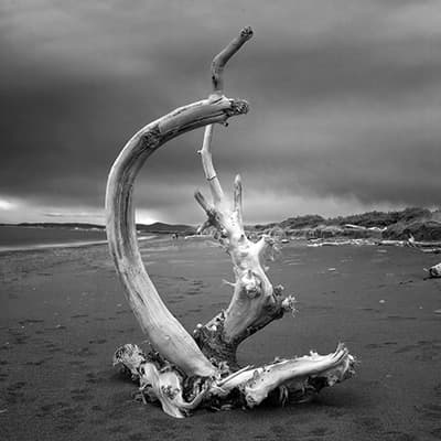 Photography by Paolo Castaldi - www.paolocastaldi.com