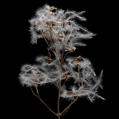 Photography by Paolo Castaldi - www.paolocastaldi.com